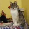 Отзыв от Майя Крючкова